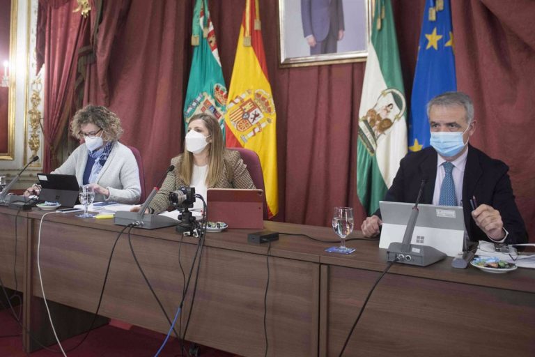 El Pleno de la Diputación rechaza la instalación del Parque Eólico Marino en la Bahía de Cádiz