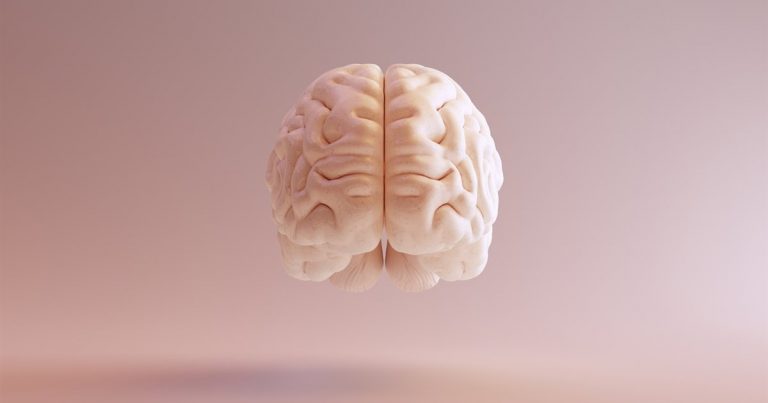 El gen que hace especial al cerebro humano