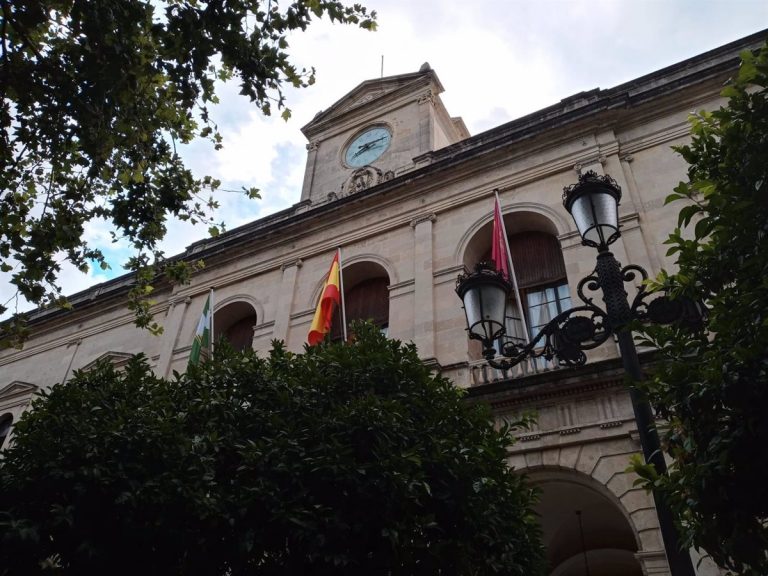 El Pleno de Sevilla insta a la Junta a «preservar» las unidades escolares y «disminuir» la ratio por clase