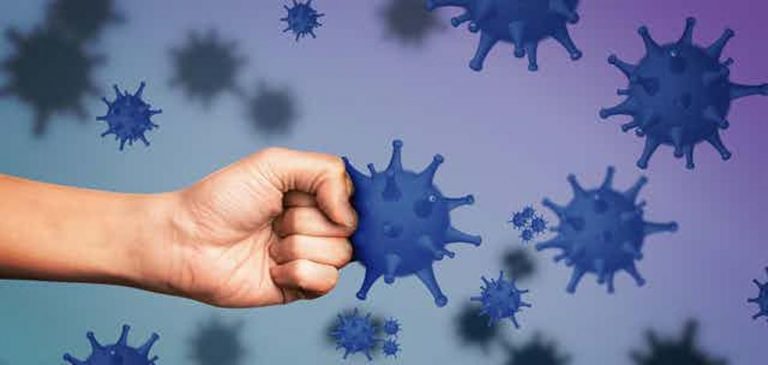 Manual de instrucciones para cuidar el sistema inmunitario