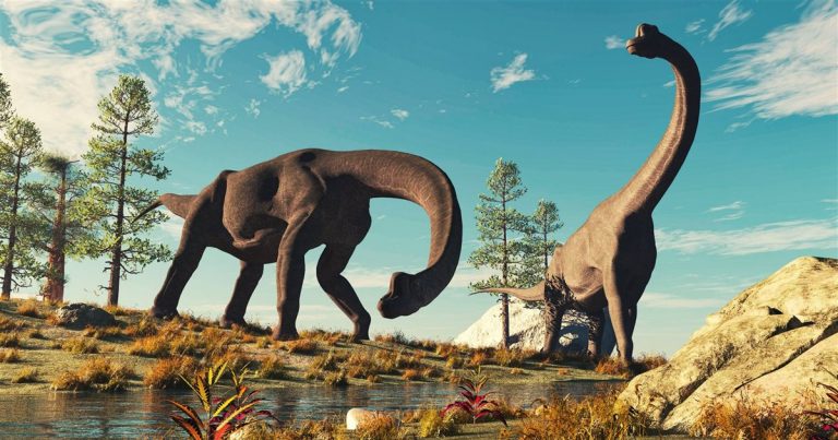Un estudio desvela cómo caminaban los dinosaurios saurópodos