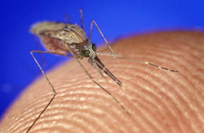 El uso de la primera vacuna eficaz contra la malaria