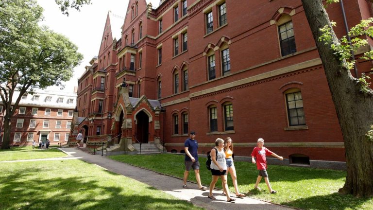 Harvard crea un fondo de 100 millones de dólares para investigar y reparar sus lazos con la esclavitud | Internacional