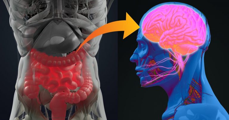 La enfermedad de Parkinson puede tener su origen en un desequilibrio de la microbiota intestinal