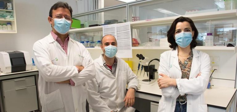 Implantan con éxito dispositivos electrónicos en cerdos para tratar lesiones medulares