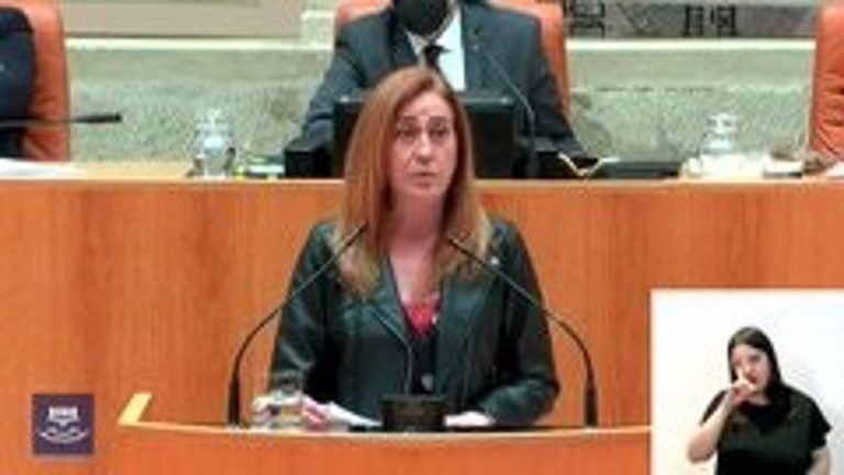 PP, PSOE y Cs piden una solución dialogada para el Sáhara mientras IU afea el cambio de discurso