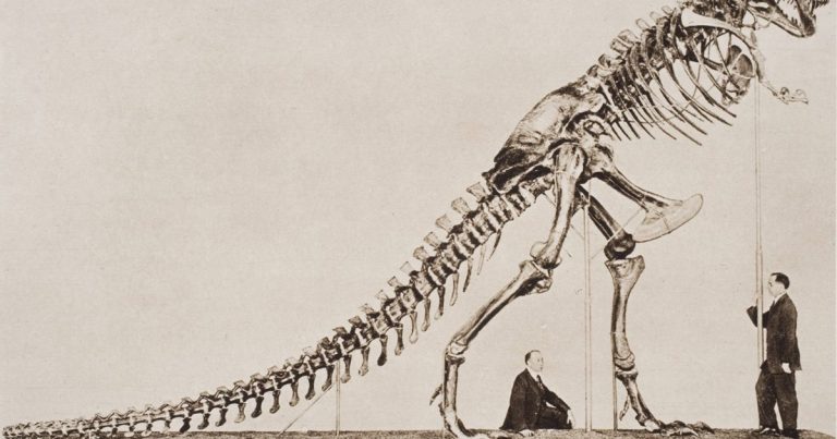 ¿Por qué el T.rex tenía los brazos tan cortos?
