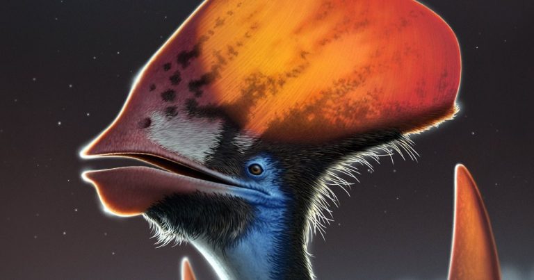 Las plumas primitivas de los pterosaurios ya exhibían colores exuberantes