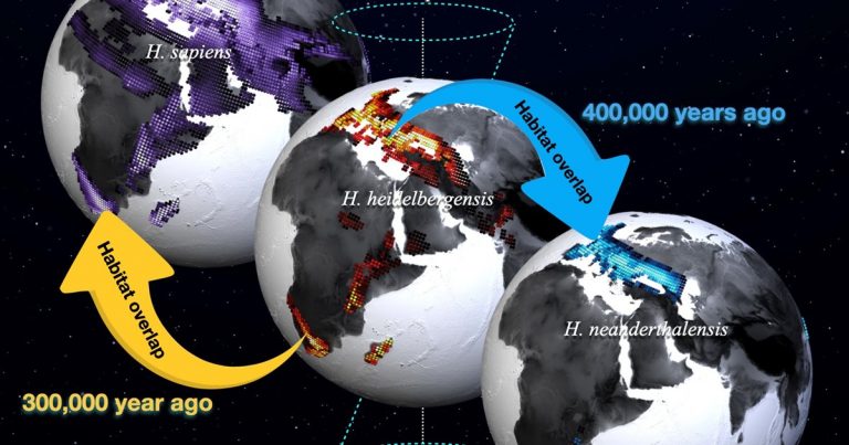 El clima ha condicionado la distribución de los homínidos durante los últimos 2 millones de años