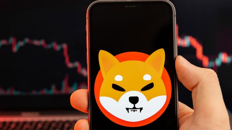 Los inversores de Shiba Inu comienzan a tomar medidas drásticas para evitar su desaparición | Tecnología