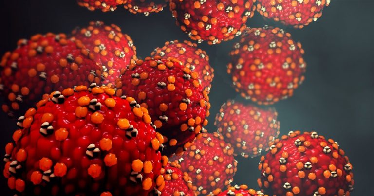 Así es la viruela del mono, la infección vírica que ha llegado a Europa