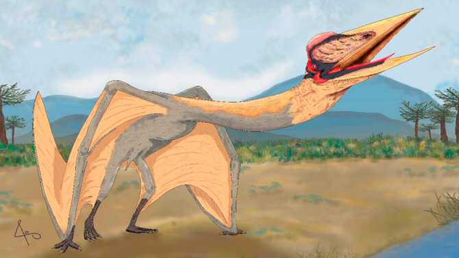 El pterosaurio más grande de Sudamérica