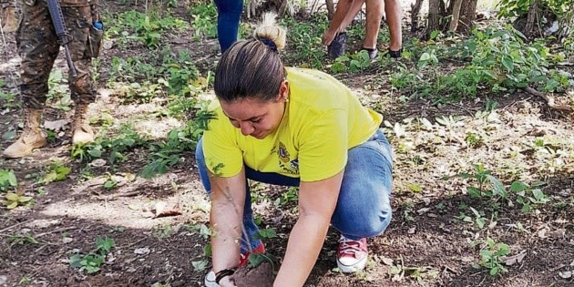 Siembran 150 árboles en laguna El Gallo