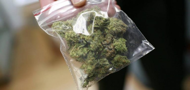 El Congreso da el primer paso para el uso terapéutico del cannabis