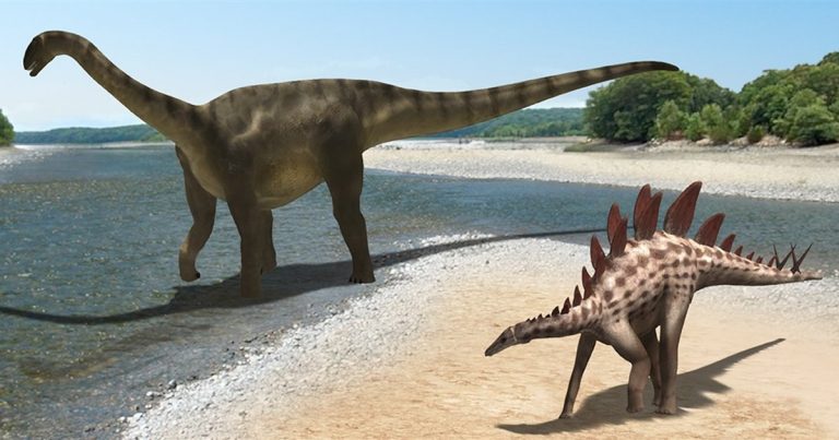 ¿Eran la mayoría de dinosaurios de sangre caliente?
