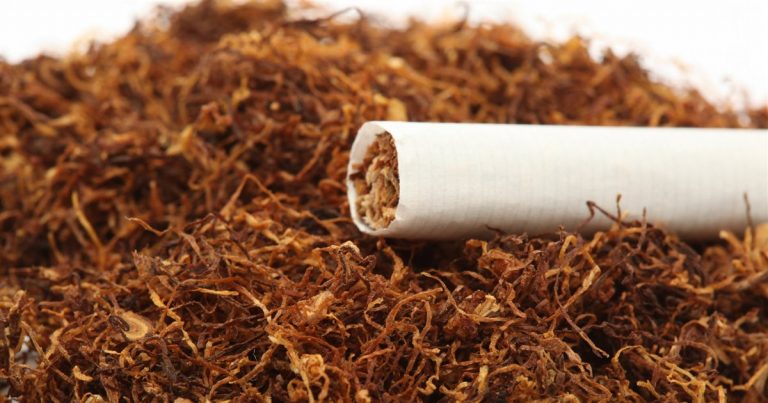 El Día Mundial sin Tabaco 2022 se centra en el impacto sobre el medio ambiente