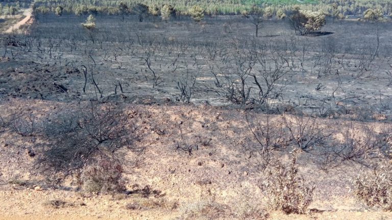 Los vecinos de Sierra de la Culebra indignado por la mala gestión en los incendios