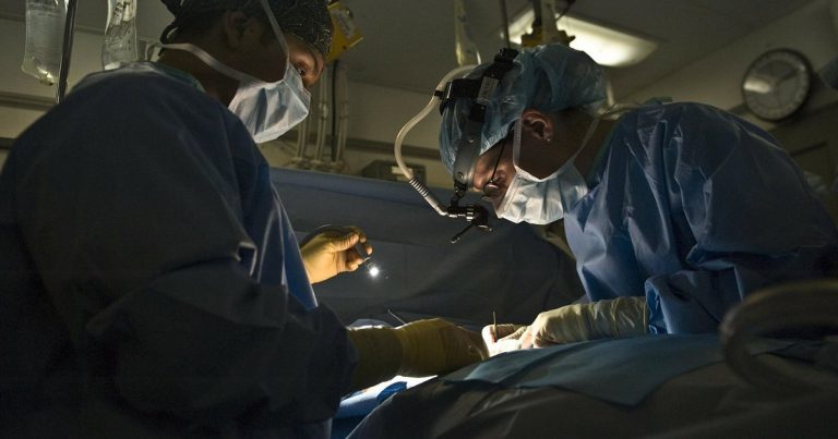 Científicos consiguen conservar intacto un hígado durante 3 días antes de su transplante