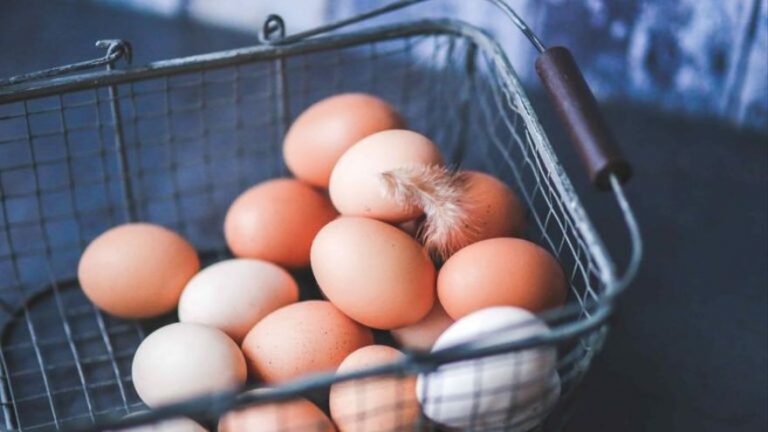 Salmonelosis: síntomas y consejos para evitar una de las grandes amenazas del verano