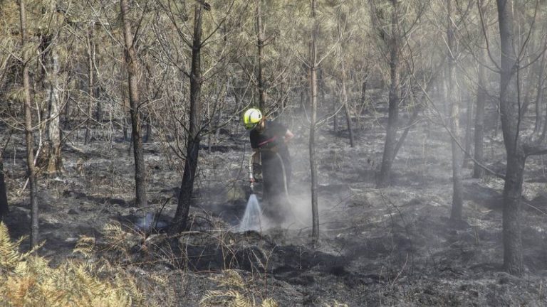 Las condiciones meteorológicas dan una tregua en los incendios que vive Europa