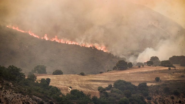 IU llevará mociones a los ayuntamientos para pedir mejoras y blindaje público de los servicios de extinción