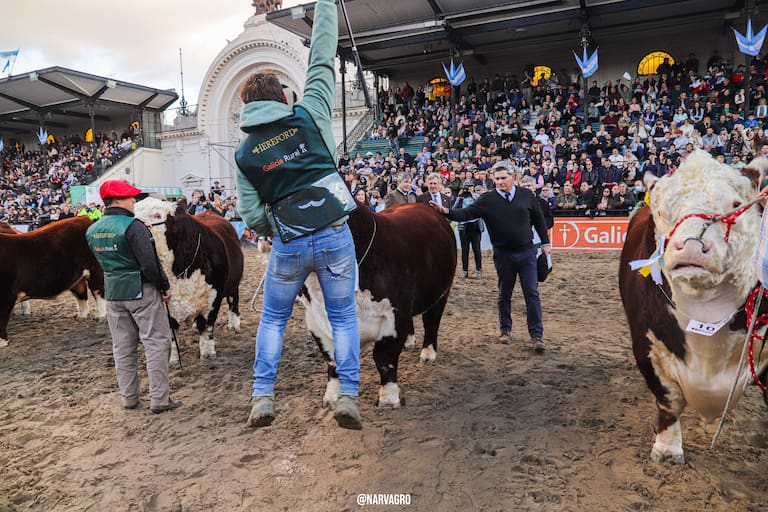 Hereford se presenta con lo mejor de su genética, charlas de capacitación y remates