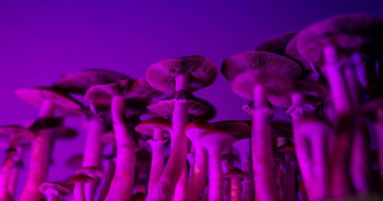 ¿Un alucinógeno para tratar la anorexia?